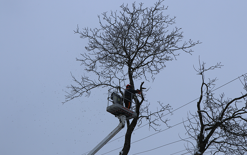 Робота, яка запобігає аваріям: чистка трас ЛЕП