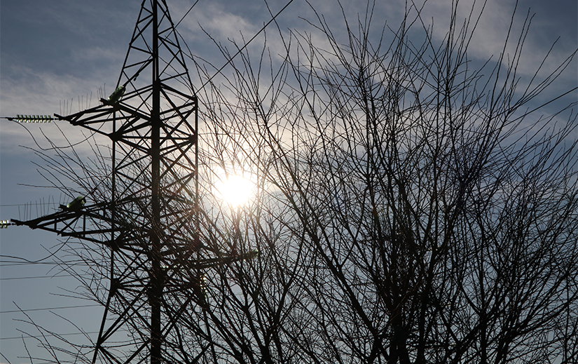 Прогноз обмежень на 11 лютого